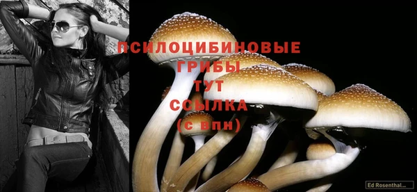 гашиш Армянск
