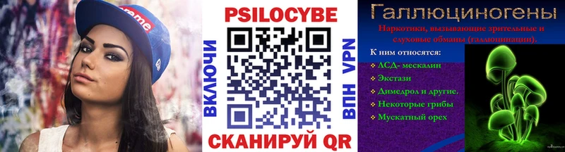 блэк спрут как войти  цены   Аркадак  Псилоцибиновые грибы Cubensis 