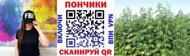 купить наркотики сайты  Аркадак  ссылка на мегу сайт  Бошки марихуана планчик 